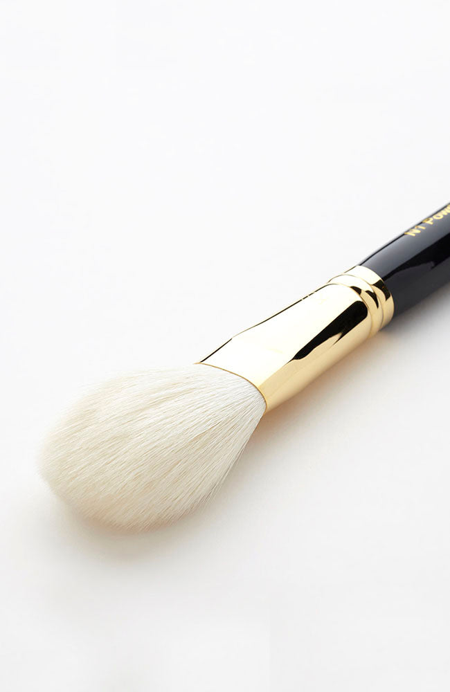 Powder Brush N1